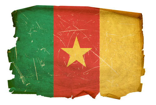 Cameroon flag old, isolated on white background